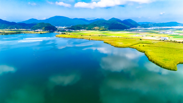 西の湖⑥（空撮）