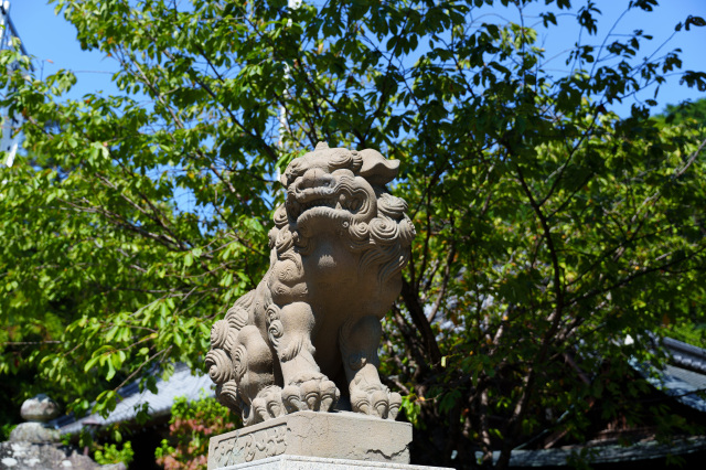 日牟禮八幡宮③　狛犬