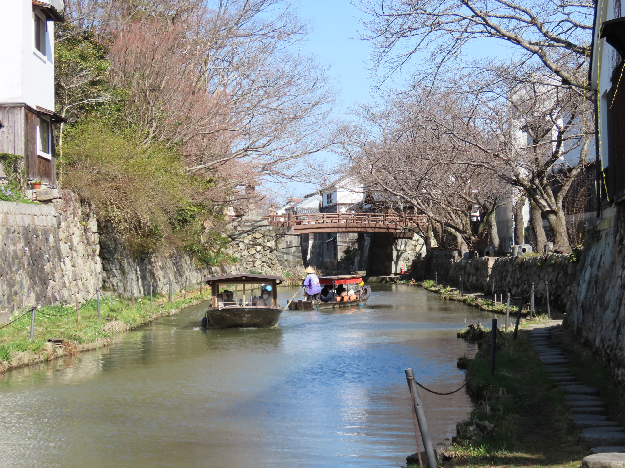 八幡堀めぐりの魅力と楽しみ方！水郷めぐりとの違いは？【地元民の体験レポート】			