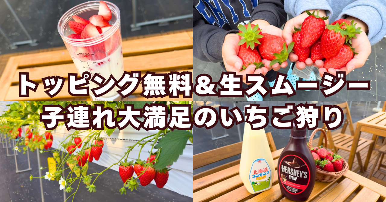 【ストロヴィレッジ】トッピング無料&生スムージー作り!子連れに優しいいちご狩り体験