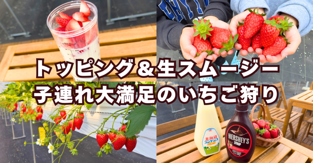 【ストロヴィレッジ】トッピング無料&生スムージー作り!子連れに優しいいちご狩り体験