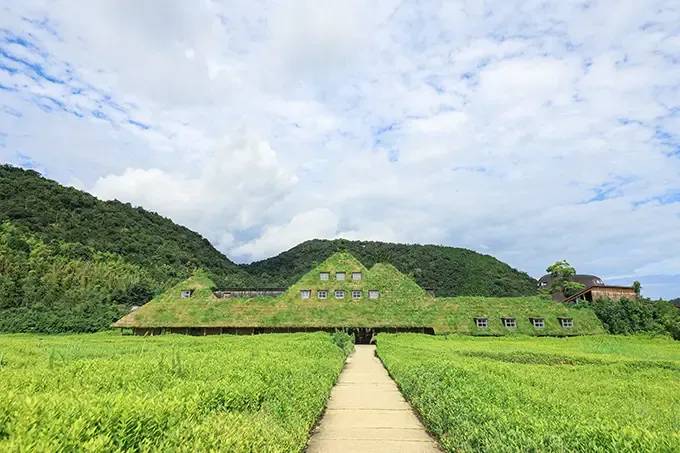 屋根が草で覆われたユニークな外観のメインショップ