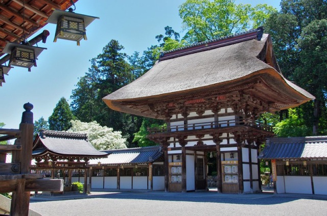 沙沙貴神社